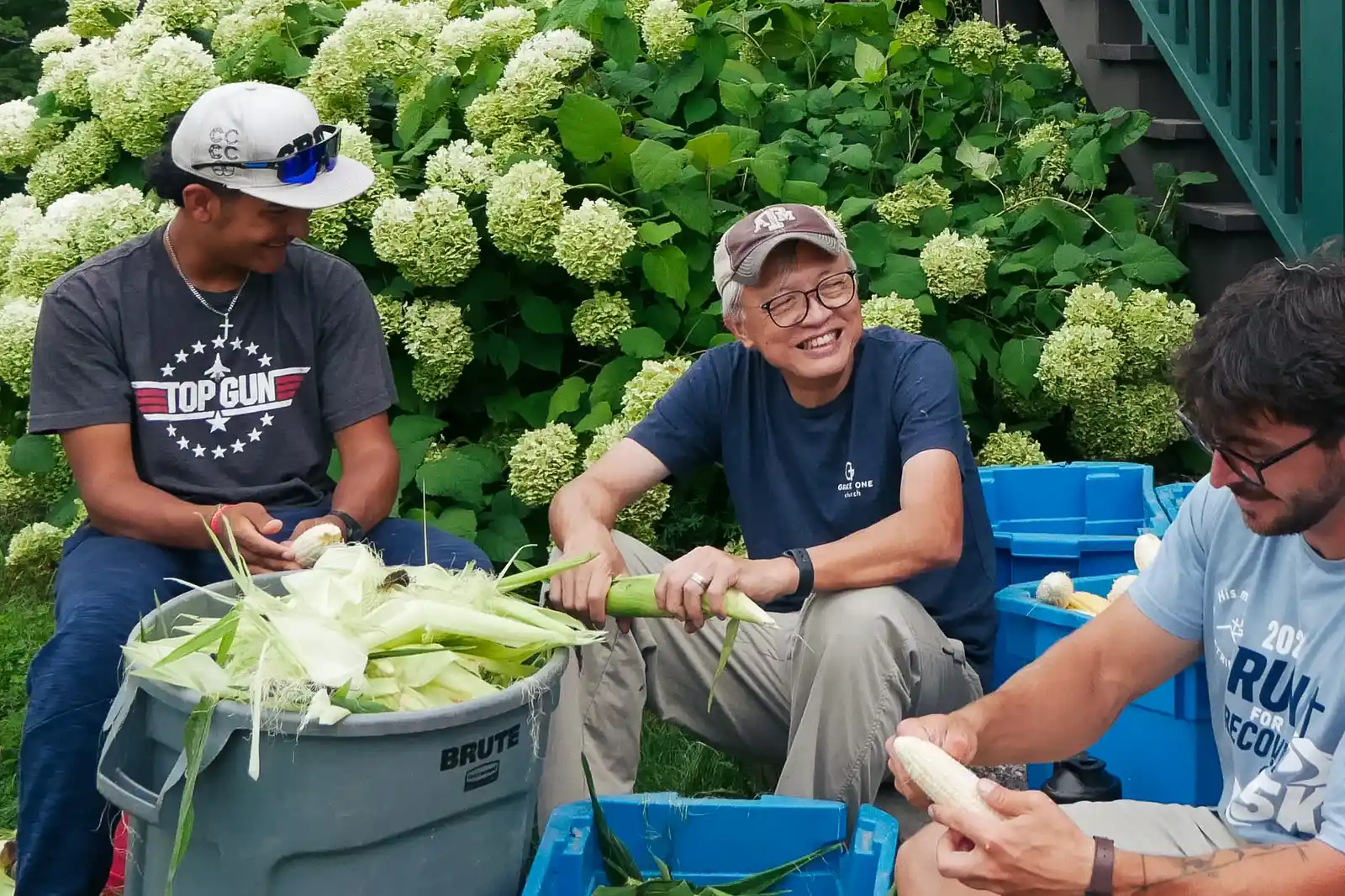 Three men husk ears of corn over a gray bin and blue crates, in front of white hydrangea bushes